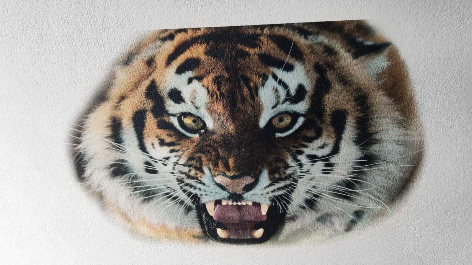 Fotorealistisches Tigermotiv als Wanddruck direkt auf eine helle Wand gedruckt